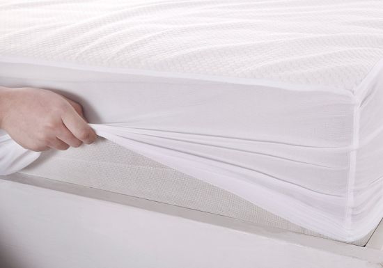 Pure Cotton Jersey Customized Fitted Style Mattress Cover