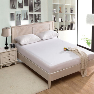 Twin Size Premium Waterproof Mattress Protector